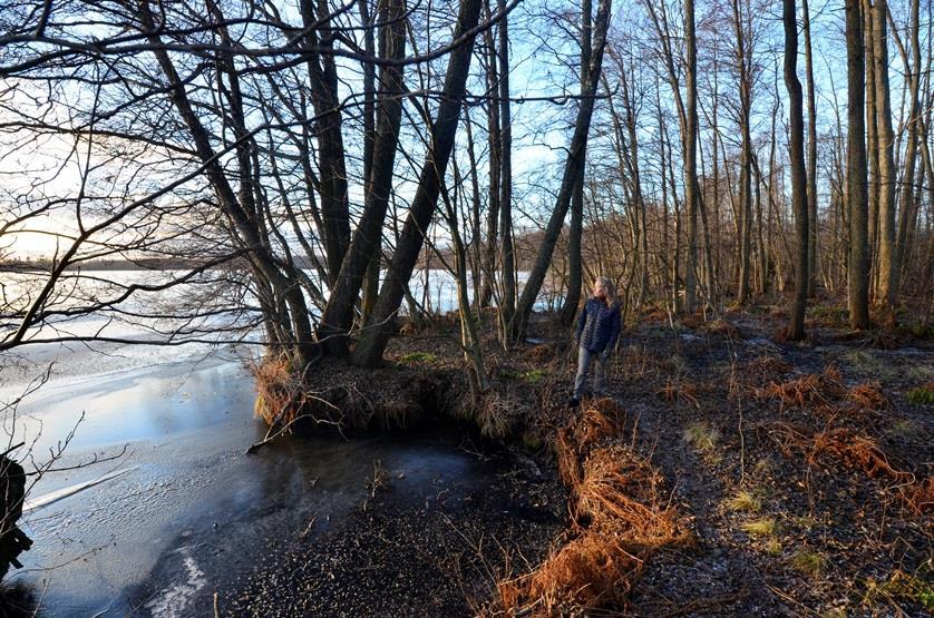 Lämpimästi päälle ja menox! Kasvien harrastusta talvella Havainnoi ja hoksaa: 1. Talvehtivat kasvin osat 2.