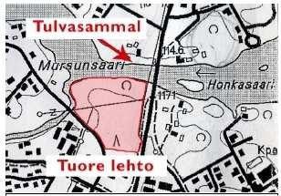 Alue sopii luontaiseksi puistoalueeksi keskustaalueella, lehtomaiselle alueelle perustettava puisto on helppohoitoinen.
