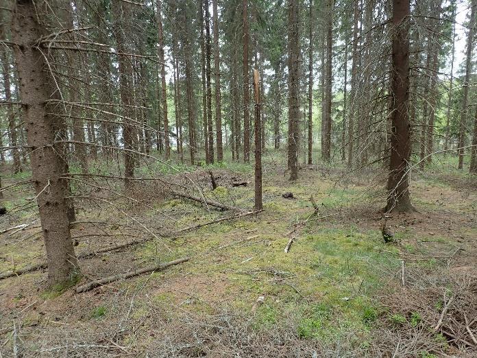 10 ustasolle. Alueen korkein kohta on sen eteläosassa, missä yhden pienen mäen laki on yli 105 metrin korkeustasolla. Eteläisin inventoiduista kaava-alueista sijaitsee Pihtisalmen pohjoisrannalla.