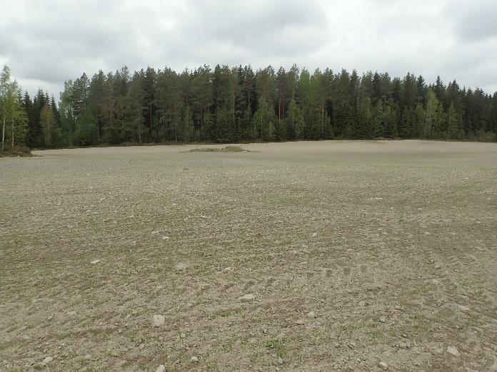 Ylävasen: Pihtisalmen pohjoispuolella sijaitsevan kaava-alueen keskiosaa. Etelään. Yläoikea: Saman kaava-alueen itäosan oraalla olevaa peltoa. Länteen.