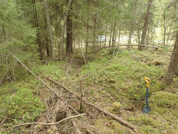 12 Tulos Virtain Vaskiveden Maijalassa suoritetussa viiden erilisen ranta-asemakaava-alueen muinaisjäännösinventoinnissa ei havaittu kiinteitä muinaisjäännöksiä.