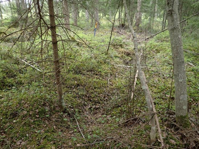 Kohde on muu kulttuuriperintökohde. Kylätontin kaksi muuta taloa sijoittuvat kaava-alueen ulkopuolelle, pellon ja tien kohdalle. Nämä talot ja tämä osa kylätonttia on mahdollista muinaisjäännöstä. 8.
