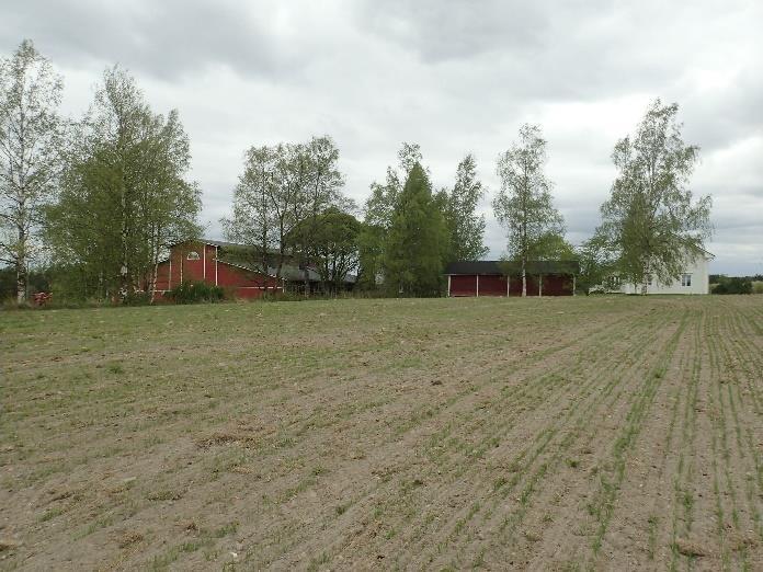 Isojakokartan talo B Nojos Ylätalo sijoittui oraalla olevaan peltoon (N 6892828 E 328488). Isojakokartalta asemoidun talon paikalla pellon multa oli aavistuksen tummempaa kuin muualla pellossa.