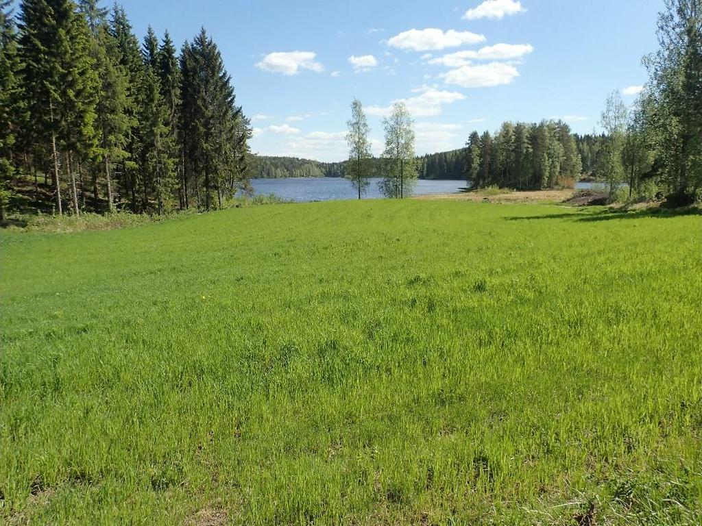 inventointialueiden maankäyttö on miltei