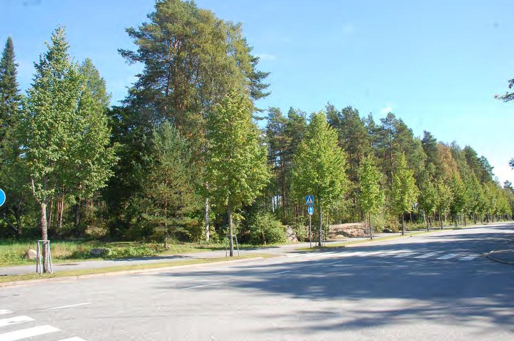 214005185 18 5.4 Kaavan vaikutukset 5.4.1 Vaikutukset rakennettuun ympäristöön Kaava-alueella ei sijaitse tällä hetkellä rakennuskantaa.