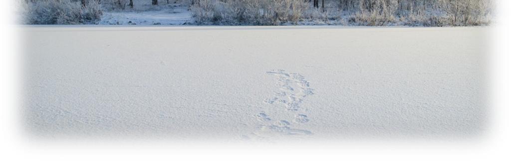 Musiikkiosasto Nuorten aikuisten