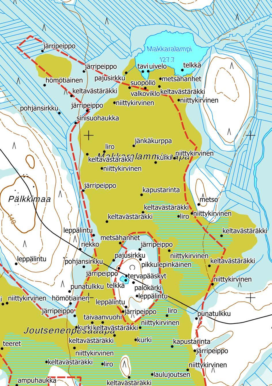 Liite 2. Huomionarvoisten lintujen reviirien sijoittuminen.