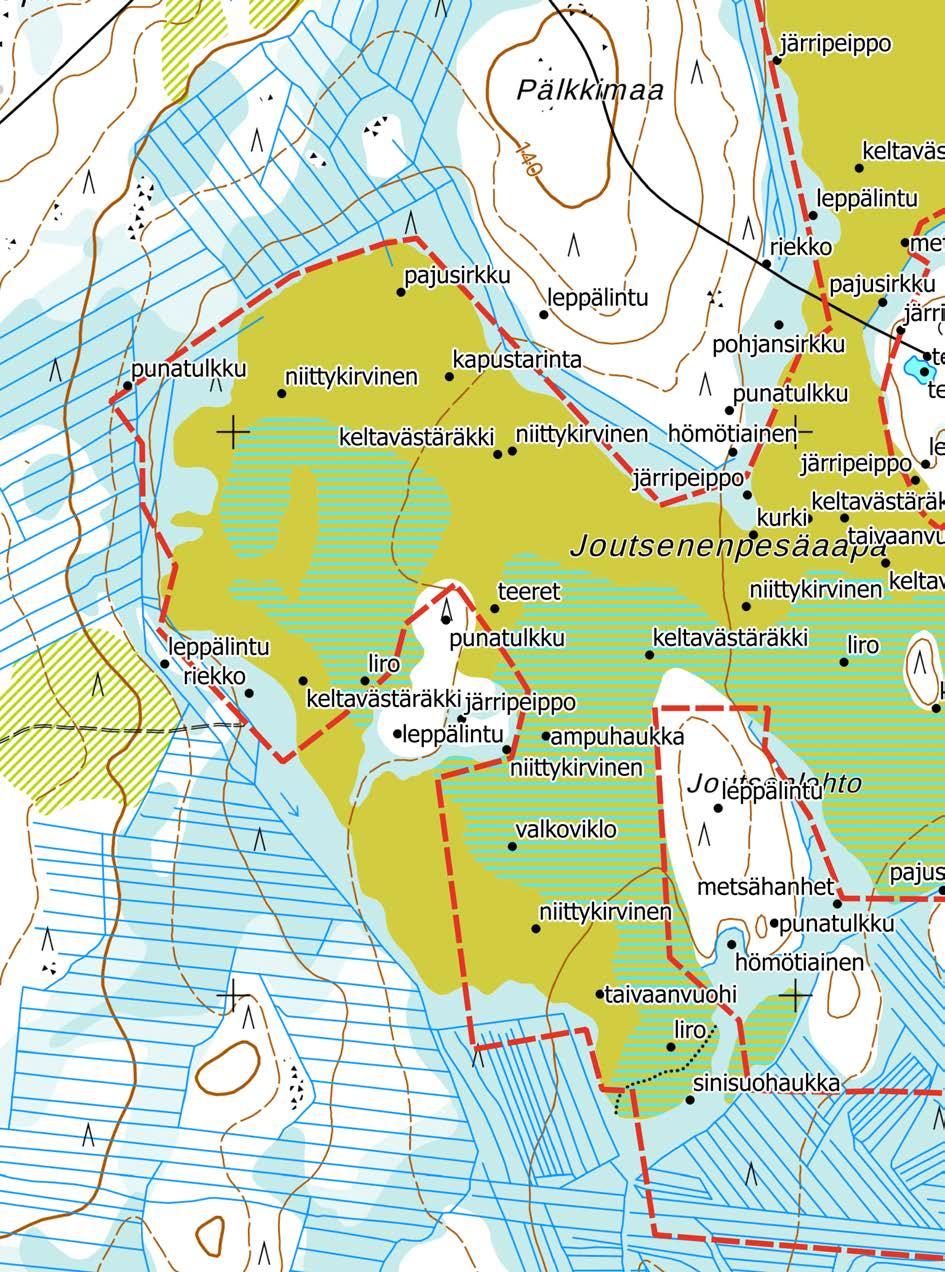 Liite 2. Huomionarvoisten lintujen reviirien sijoittuminen.