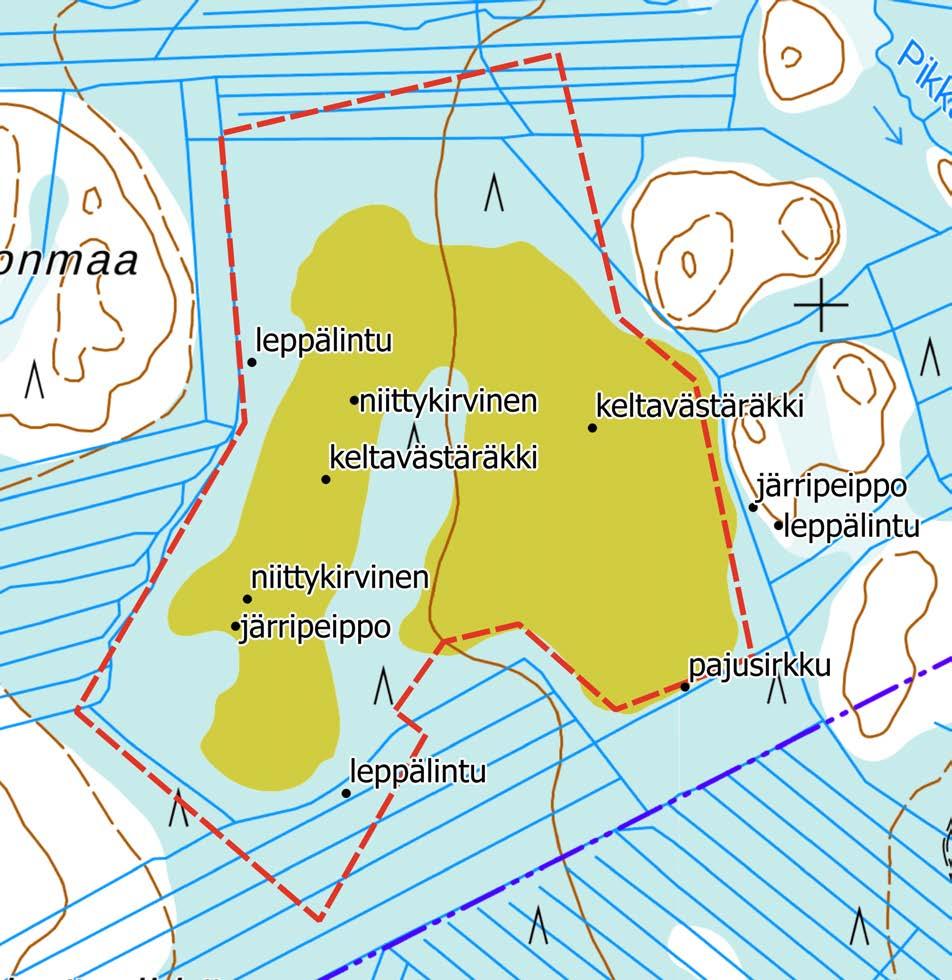 Liite 2. Huomionarvoisten lintujen reviirien sijoittuminen.
