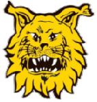 Ilves, Tampere Kokoonpano Ilveksen kokoonpano on seuraava 1 Jari Alakangas mv 7 Ari Pekkonenn 13 Vesa Tuominen 29 Aki Friberg mv 30 Matti Tähtinen 32 Veli-Matti Kanerva 33 Arto Karima 36 Petri