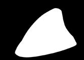 Autoantenni Shark II AM/FM vahvistimella 7727050 asennusreikä 15x15 mm/ Ø 19 mm