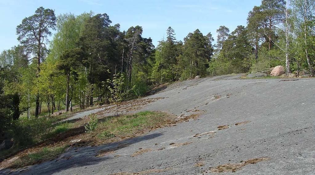 RAKENNUSJÄRJESTYS, hyväksytty valtuustossa 14.11.2001 MUUT SUUNNITELMAT Hovin uuden omistajan myötä on odotettavissa muutospainetta Viirinkalliota ympäröivien alueiden maankäytössä.