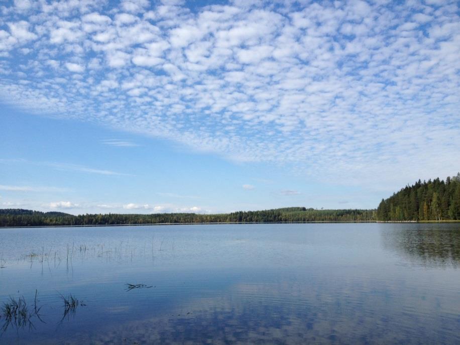 Prospect-ryhmällä positiivisia