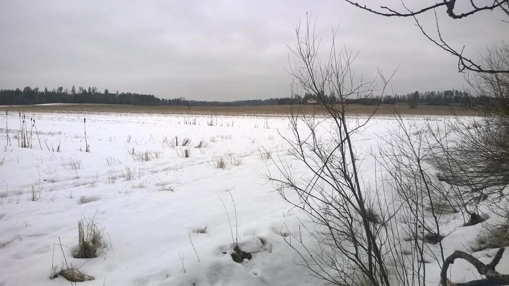 225PVC. Vesihuoltolinjassa on Töyrypellontien reunassa sijaitseva Järvihaan jätevesipumppaamo. Tämän lisäksi Kotihiirentieltä tulee jätevesiviemäri, joka johtaa em.