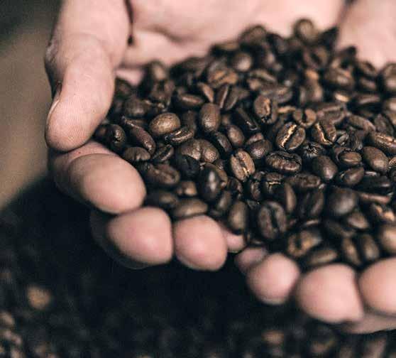 PAULIG NUMERO 17004 KESPRO 21454964 KPL/ME 5 Robert Paulig Smooth Prince Espresso papu 5 x 1 kg Afrikkalaiset pavut tuovat keskipaahtoiseen, vaalean pehmeään espressosekoitukseen sähäkkää rytmiä. 4.