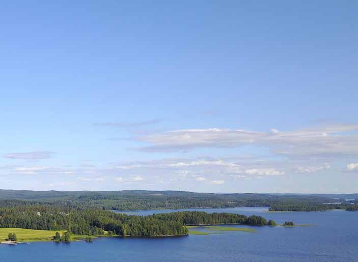 Lisämaksu lemmikkieläimestä on 60 /kk, huoneita rajoitetusti. Huoneet ovat kalustettuja.