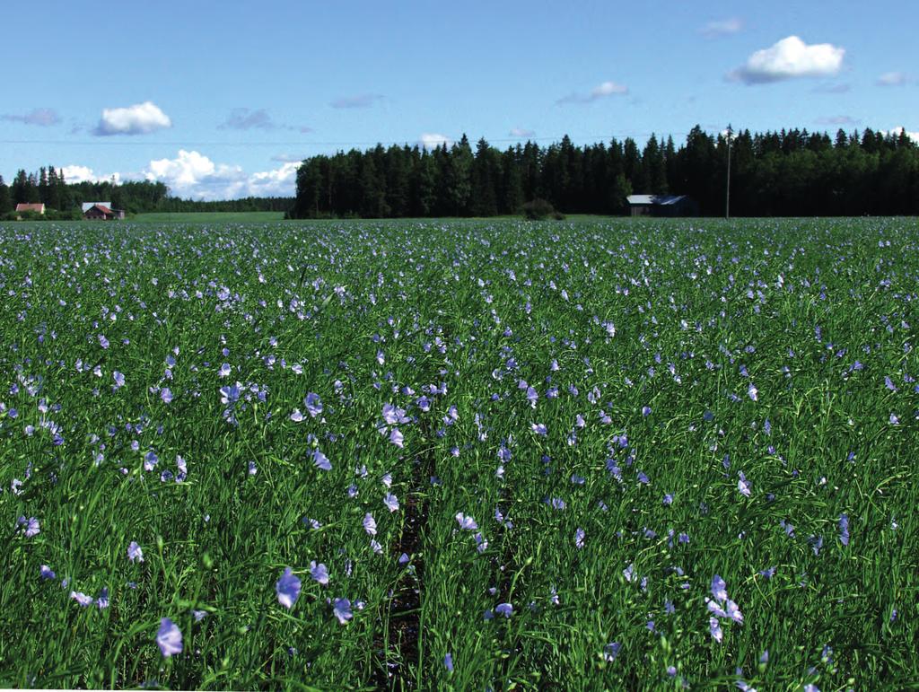 E KO LO GIS IA O L E MME O L L E E T AI N A Tapamme toimia on hyvin ekologinen, näin on ollut yrityksen koko historian ajan. Vuosikymmeniä sitten ekologisuutta kutsuttiin nimellä nuukuus.