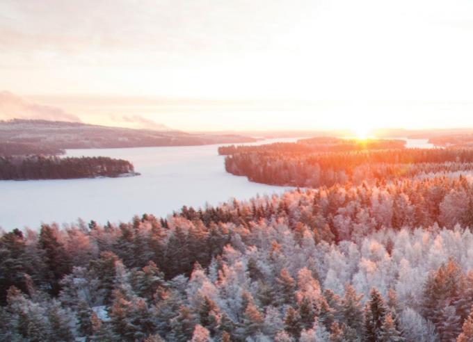 yhdistämällä eri maiden tietotaitoa MetsaWood.