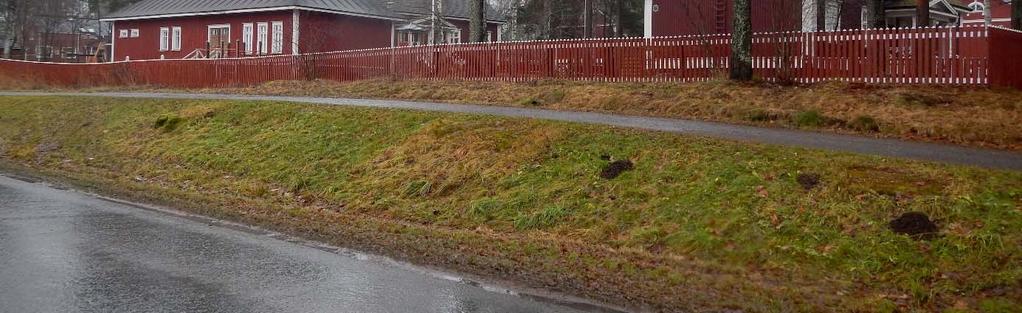 Suunnittelualueen itä- ja eteläpuolella olevat asuintontit ovat vehreämpiä vanhoine pihapuineen ja pensaineen. Pinnanmuodoiltaan suunnittelualue on melko tasaista.