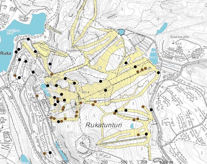 Sopivaa ympäristöä löytyy erityisesti (a) Rukakylän tienpientareilta, (b) luontaisen maapohjan rinneosuuksilta ja (c ) laskettelurinteiden muokkauskohdista. FIG. 2.