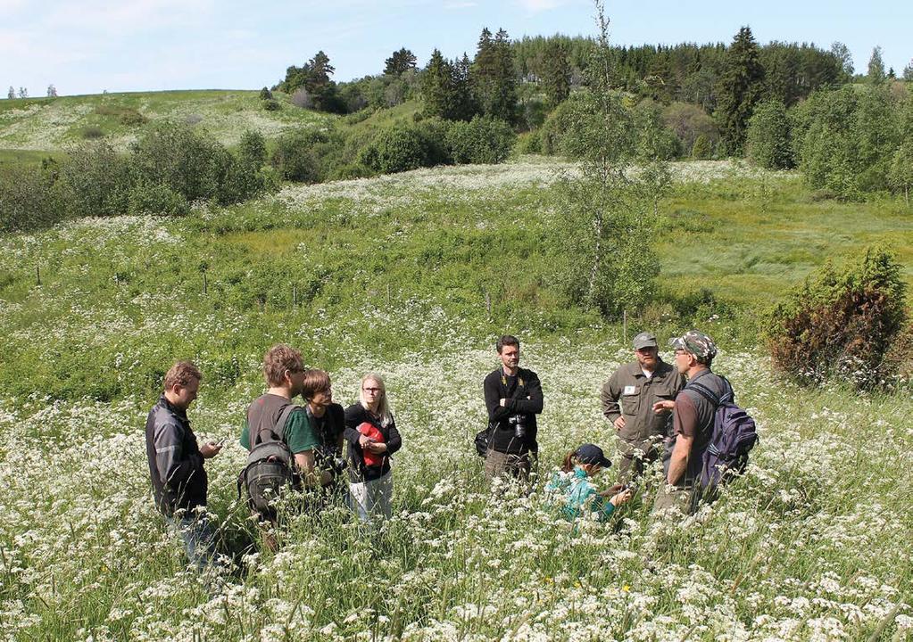 HENNA KETTUNEN IIRO IKONEN Perhosten suojelu ja siirtoistutukset kiinnostavat suurta yleisöä. Pikkuapollon istutuksista on tiedotettu useaan kertaan.