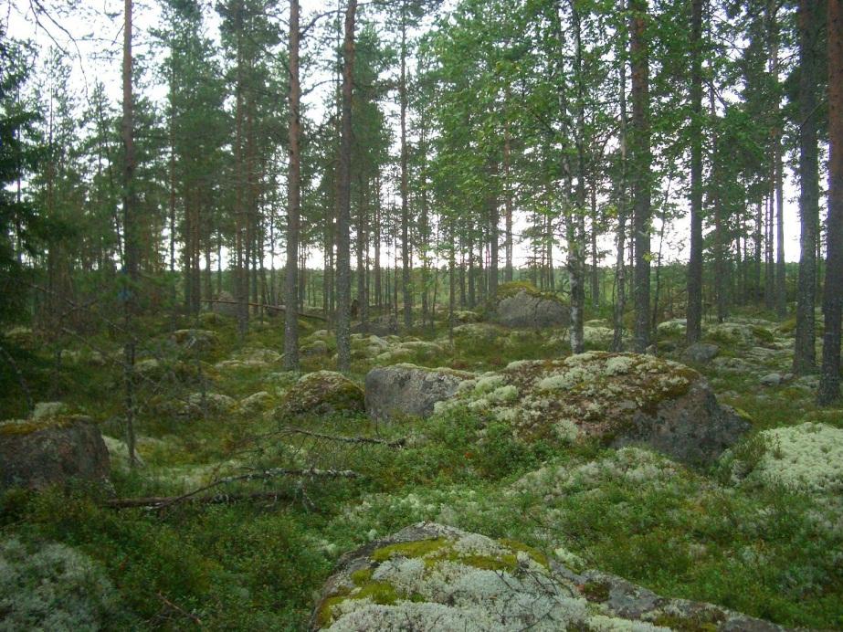 4 Ramboll Finland Oy tilasi inventoinnin Mikroliitti Oy:ltä. Maastotutkimukset suoritettiin kahden arkeologin toimesta 23.8.2012.