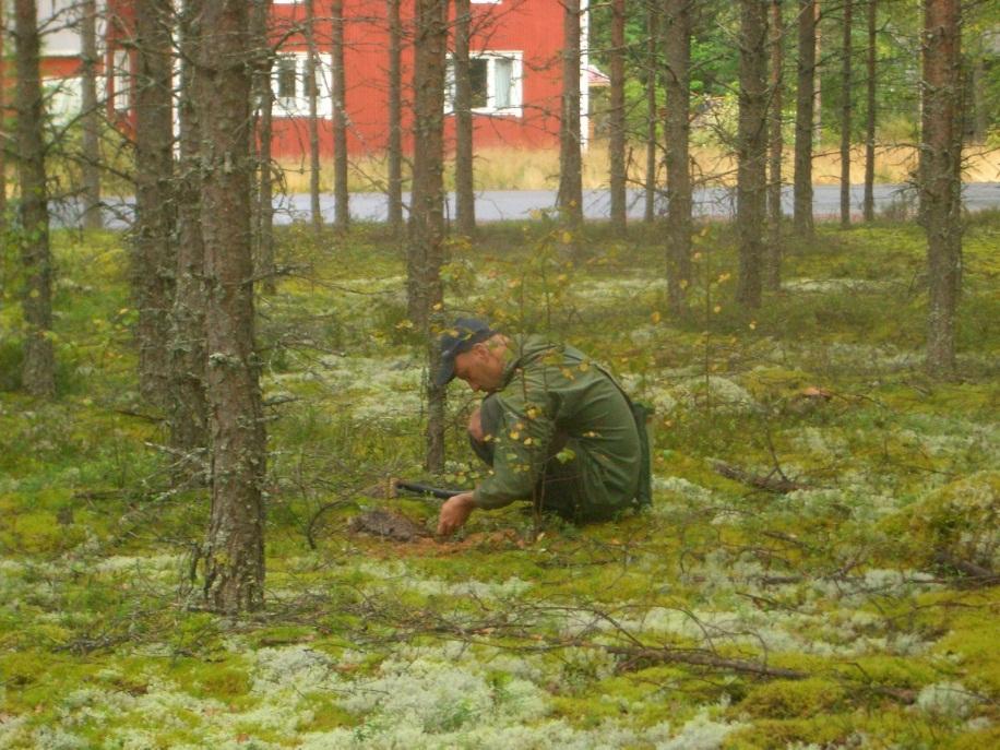 Suunnittelualue tarkastettiin kattavasti silmänvaraisesti.