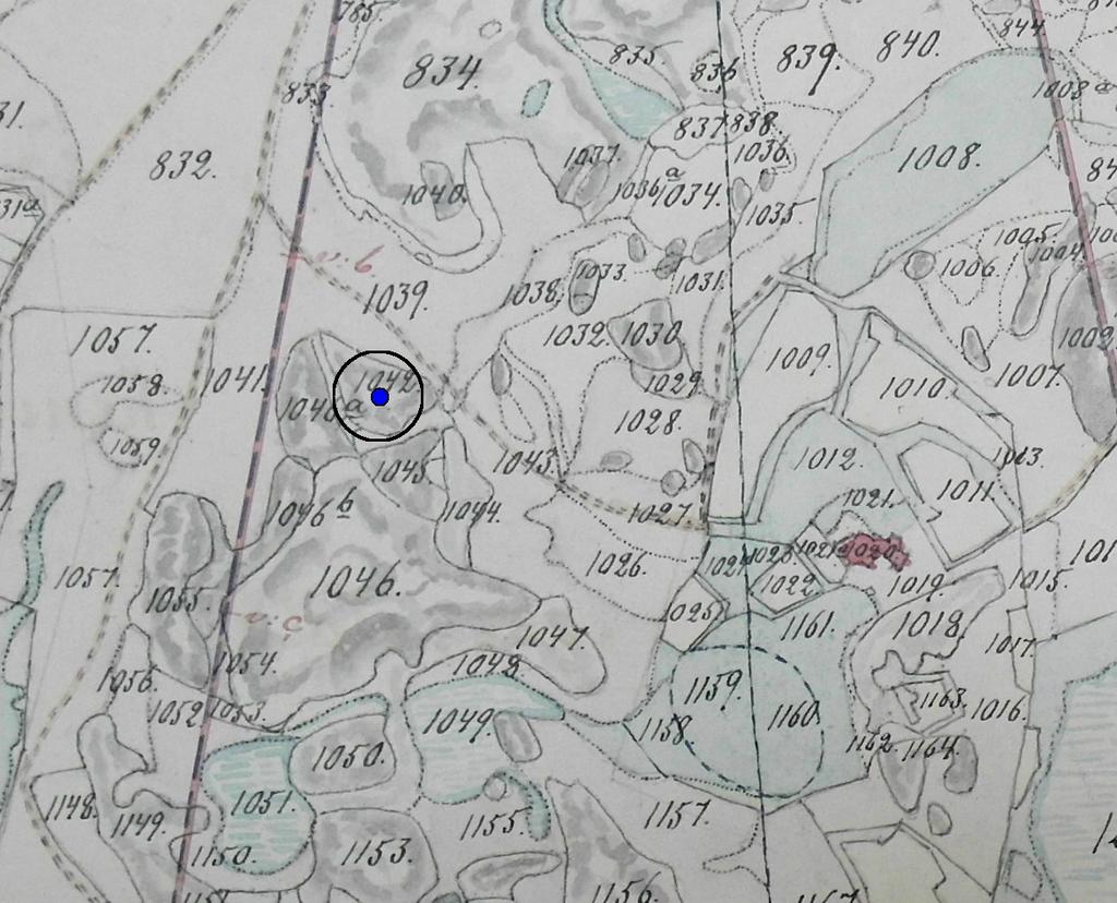 Ote kartasta vuodelta 1882. (B51:5/4). Röykkiön paikka sinisellä pisteellä.