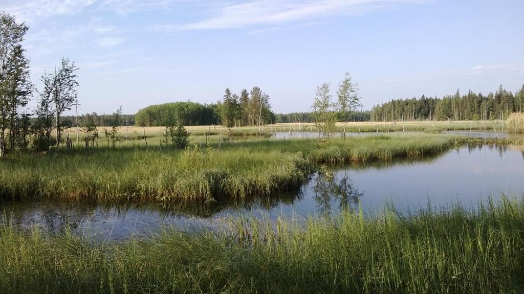 Toholampi-Lestijärven tuulivoimapuiston Linnustoselvitys 10 alueella, johon lukeutuvat mm.