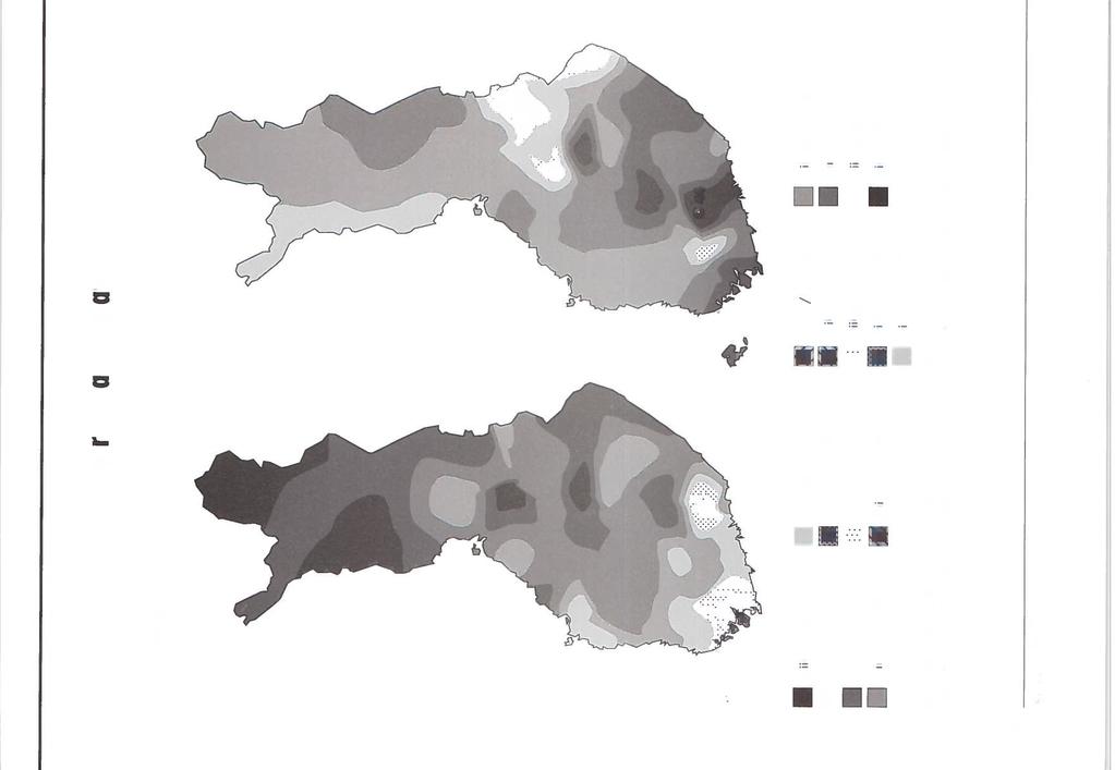 Epirrita autumnala