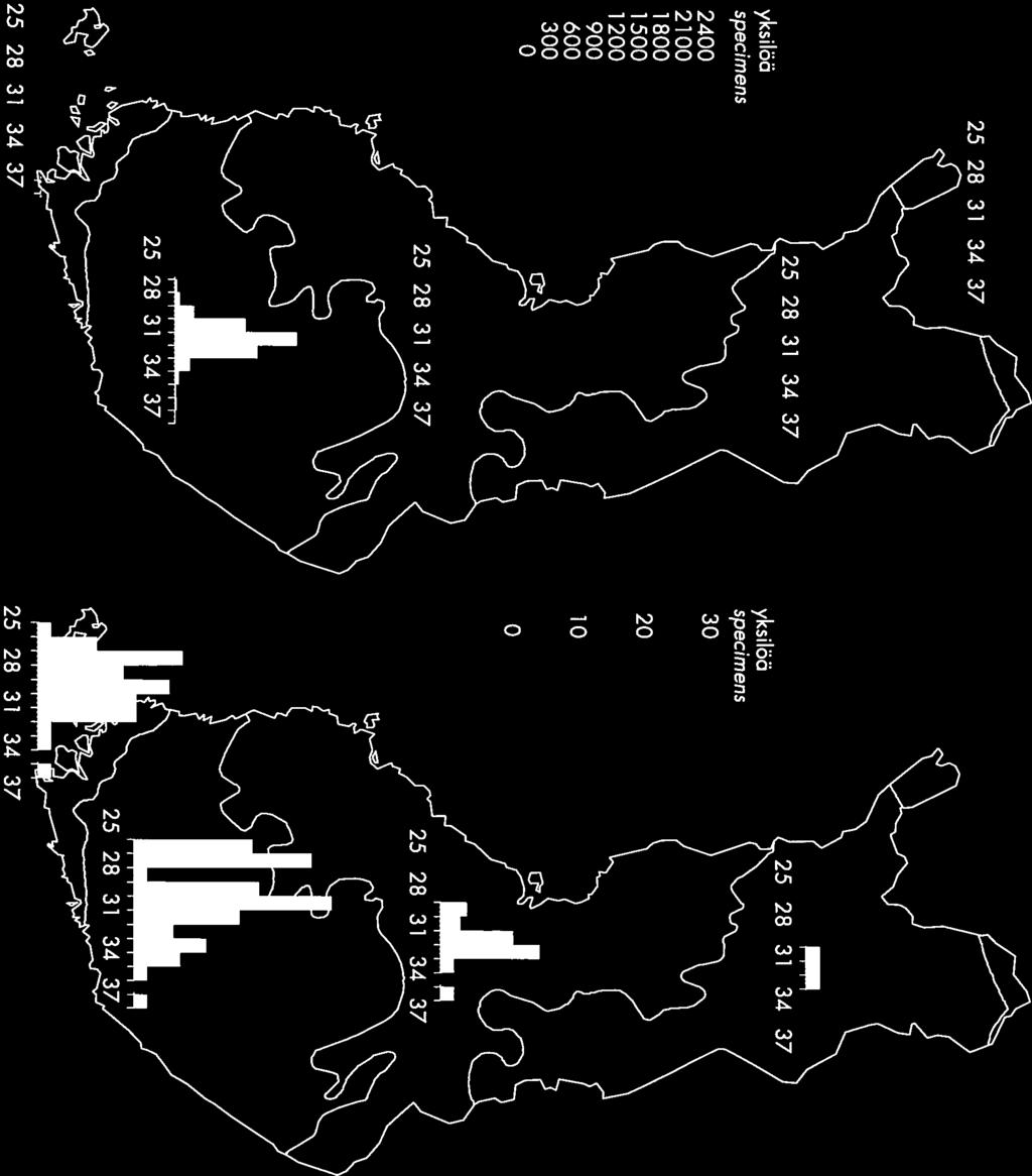 [ulithis populata Euliihis prunala 4 25 28 31 34 37 yksilöä specimens 24 21 1 8 15 12 9 6 3