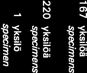 11 Populations of