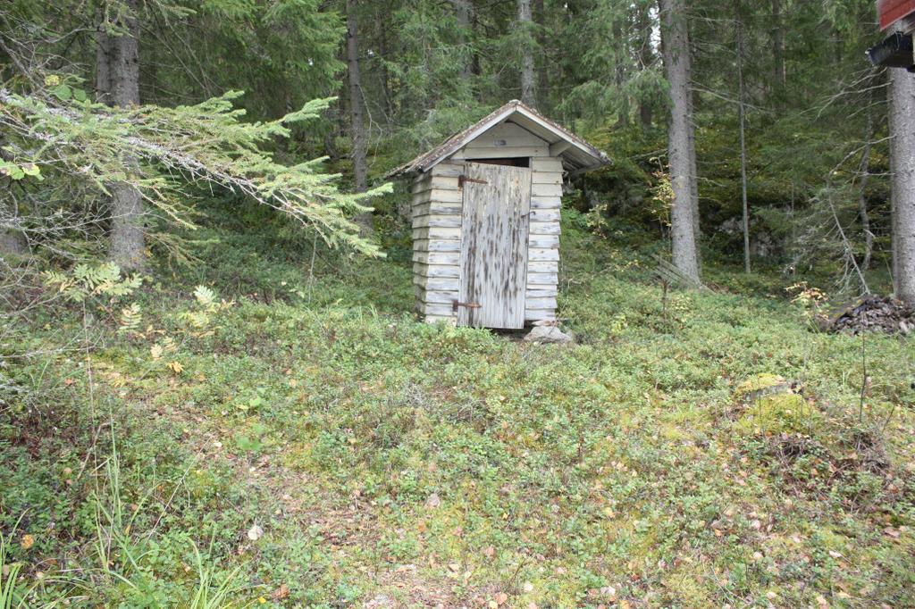KUVA 1 ja 2. Iso-Niemistön rantaa Kaavamuutosalue Kaihlasen rannalla on pääosin tavanomaista metsämaata, alue on havupuuvaltainen.