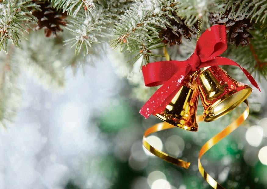 12. klo 10 itsenäisyyspäivän sanajumalanpalvelus. * ks. erillinen ilmoitus s. 7. Su 9.12. klo 10 2. adventtisunnuntain messu. Lähetyspyhä. * Kahvit seurakuntakodilla.