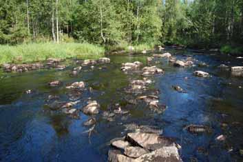 Kuva 221. Kosken yleiskuvaus Kosken niskalla on majapadon jäänteet. Yläosistaan uoma on hyvin rännimäinen, sen molemmin puolin on itse uomaa laajemmat kivikot.