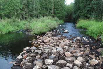 Kuva 224. Kosken yleiskuvaus Kosken niskalla on länsirannalla laaja perkauskivikko(10 m x 5 m), jota kiertää lännen puolelta osin umpeutunut tulva-uoma.