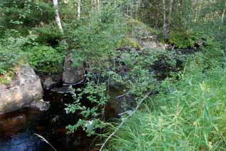 jatkotoimenpiteiden kustannukset Kosken yleiskuvaus Kosken niskalla uoman leveys on kaksi metriä, josta vesi peittää 1,5 metriä leveän osuuden. Perkauskivipenkat ovat toista metriä korkeat.