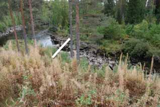 Lisäksi menetetään voimalaitoksen ohittavan vesimäärän muutoin tuottaman