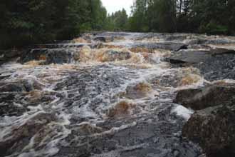 kalliokynnystä. Näiden ansiosta Myllykoski ei ole nousukaloille ehdoton nousueste.