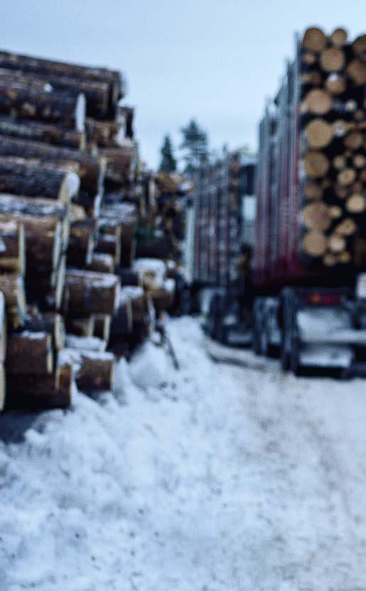 PETRI PASANEN Teiden tarinoita Ivalolainen Petri Pasanen ajaa Volvollaan puukuljetuksia ja huolehtii puurekkojen käyttämien metsäautoteiden talvikunnossapidosta.