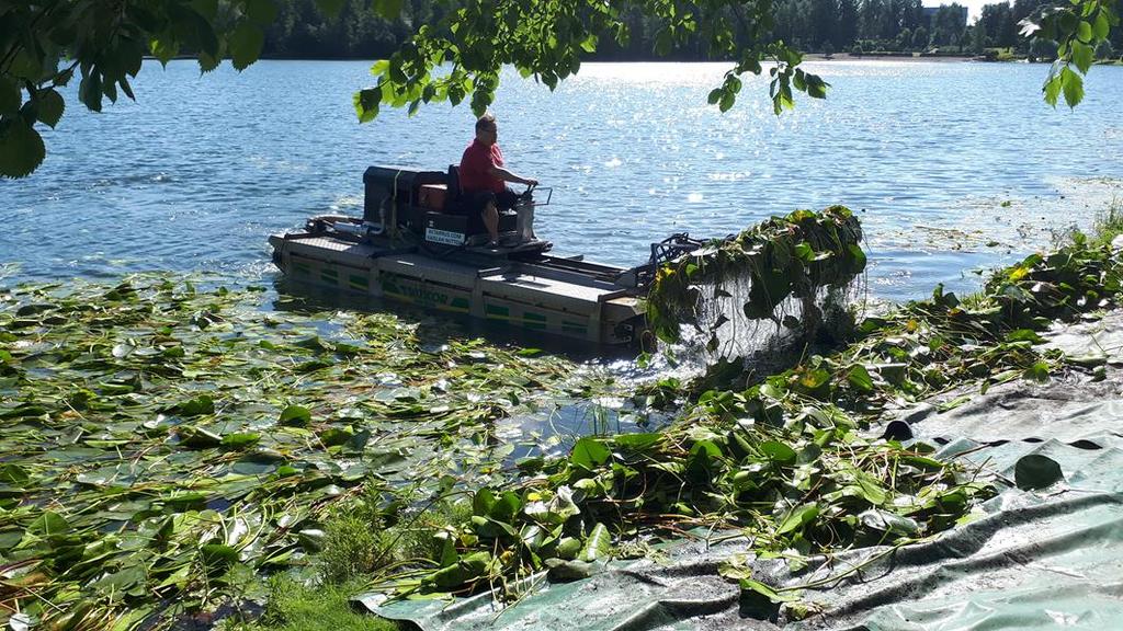 51 (65) Petosenlammella on toteutettu tehokalastus viitenä eri vuotena. Vuoden 2004 tehokalastus tehtiin kahdella nuotanvedolla. Saalista kalastuksesta tuli 1400 kg (66 kg/ha), josta 90 % oli särkeä.