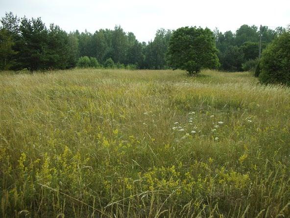 Uhkatekijät: Umpeenkasvu laidunnuksen ja niiton loputtua (Nu 3), metsien uudistamis- ja hoitotoimet (M 2), rakentaminen (R 1), pellonraivaus (Pr 1), rehevöityminen (Nr 1), rehevöittävä laskeuma (RI