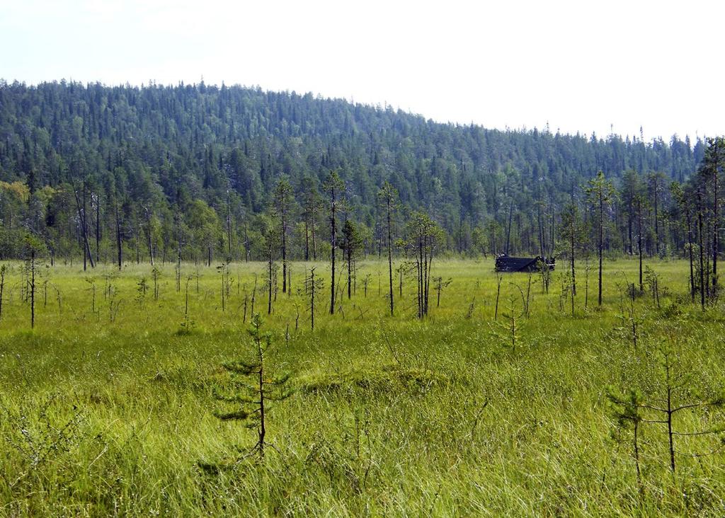 Oulanka, Kuusamo.