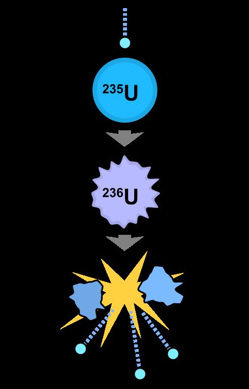Fissio Fissiovoimalan energia on suurimmaksi osaksi peräisin 235 92 U-ytimen fissioreaktiosta. Reaktio syntyy vapaan neutronin osuessa ytimeen.