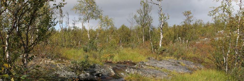Puljun erämaan Natura 2000