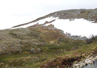 The highest peak of Gistuskáidi reaches 450 m asl. The authors have searched for H. puengeleri from the rocky outcrop of the south-easternmost peak without any success, so far.