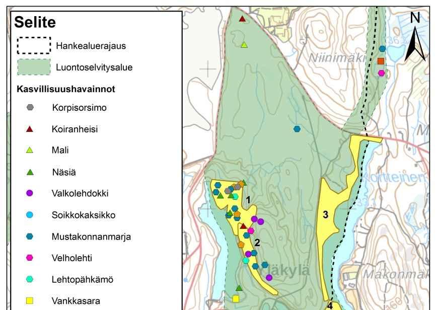 Kuva 7-11. Luontoselvitysalueen kasvillisuuskuviointi ja kasvillisuushavainnot. Kasvillisuusselvityksen tulokset on esitetty tarkemmin liitteen 2 luontoselvityksessä.