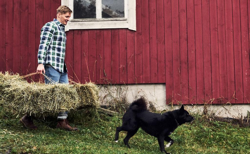 Tämän tavoitteen saavuttamiseksi on erittäin tärkeää, että umpilehmille on rehua koko ajan saatavilla. Ruokinnan monipuolisuus on avainsana yhtä lailla lypsävien kuin myös umpilehmien ruokinnassakin.