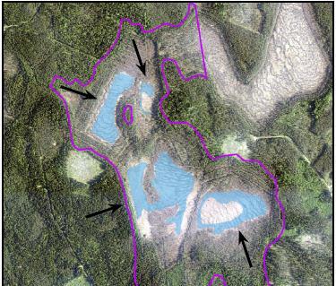 (15684)/Siikainen erilaisia luonnontilaisia tai luonnontilaisen kaltaisia soita, jotka ovat joko uhanalaisia tai metsälain