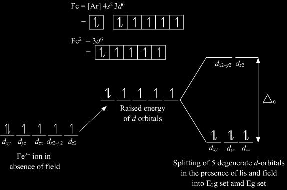 Uudelleen luotujen d orbitaalien kasvanut energia Fe 2+ ioni ulkoisen kentän puuttuessa Viiden